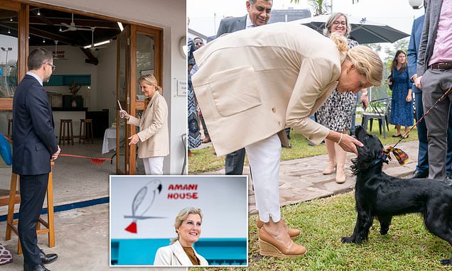 Sophie, Countess of Wessex pets adorable spaniel during visit to Democratic Republic of Congo