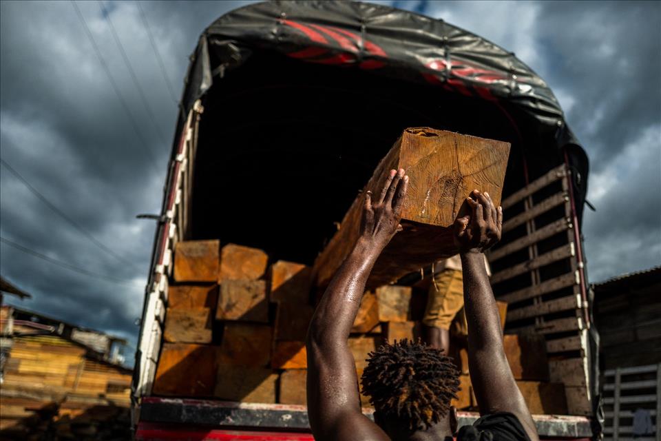 Protecting Congo's Forests: New Timber Parks Will Help Fight Illegal Logging