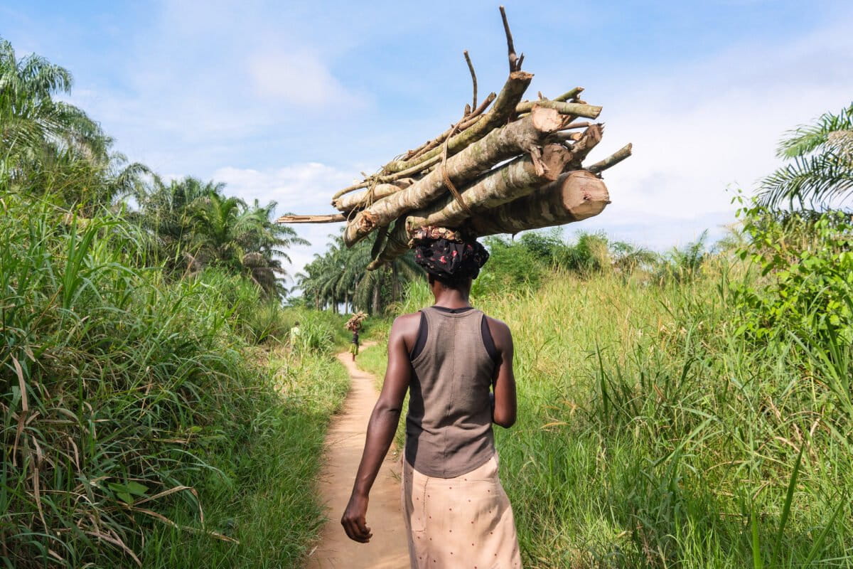 Local indigenous people get more land in a DRC community forest